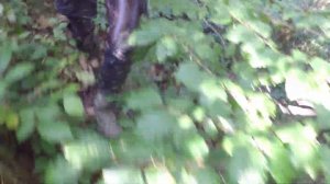 Swamp,boots wet.wet look. wetlook. look.wet clothes boots.Зайшов жіночих чобота?