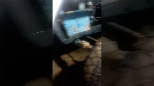 Фронтальный погрузчик (КУН) Metal-Fach T219 для тракторов МТЗ