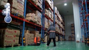 Самоходные Тележки (Электророхли) – Надежная Работа Д