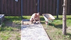 Укладка брусчатки своими руками.