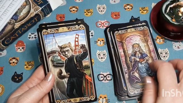 CatTarotЗнов Котяче ТароUnboxing