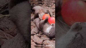 С началом рабочей недели ! Сегодня день ландыша !😊👍