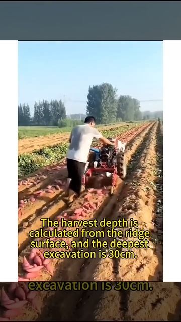 🍓 Машина для окучивания клубники | Strawberry Hilling Machine#Сел?