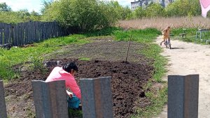 Воскресный день.Огородные дела.Топим баньку.
