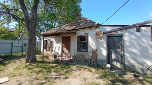 Второй день капитальной уборки в 100-летнем самане..