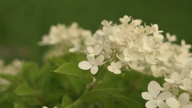 Вот это улов! сказал 75 летний дед рыбак, вытаскивая тяж смотреть онлайн