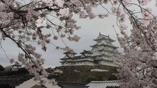Japanese house and Sakura