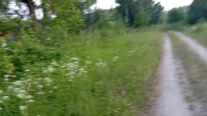 Всё что осталось от деревни.15.05.2025