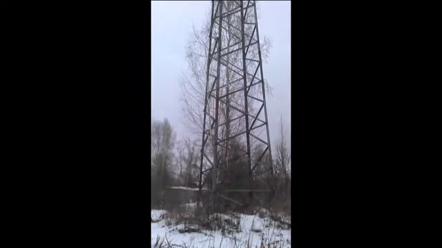 Дерево внутри опоры ЛЭП смотреть онлайн