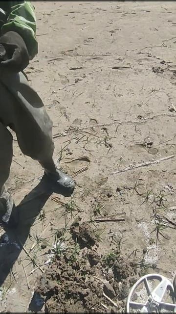 Речка или Поле Что Лучше для Поиска Скифских Наконечн? смотреть онлайн