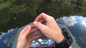 ловля окуня в сентябре