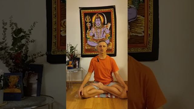 Точки входа энергии и сознания в тело смотреть онлайн