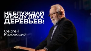 Не блуждай между двух деревьев! | Сергей Ряховский | 18 мая | #cogmos