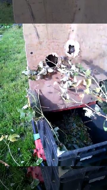 измельчитель веток из газонокосилки для малины т.д смотреть онлайн