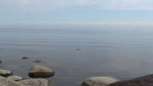 Спокойствие и расслабление  #relax