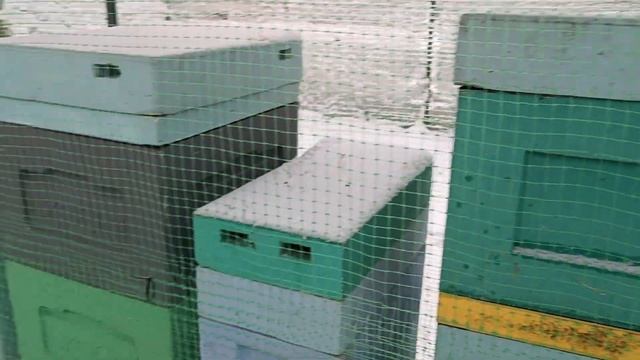 Простая защита ульев от птиц