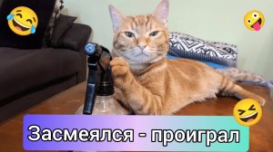 Смешные видео | приколы с животными #9