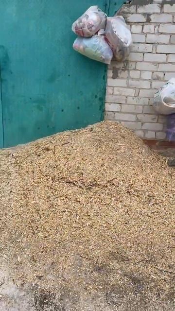 Измельчение веток в щепу#китайскаядробилка #spilarbo #арб? смотреть онлайн