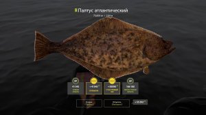 Русская рыбалка 4. Норвежское море. 55 банка. Палтус 73кг