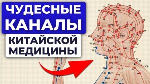 Китайский СЕКРЕТ вечного ЗДОРОВЬЯ! / Генетика и хронические болезни в китайской медицине