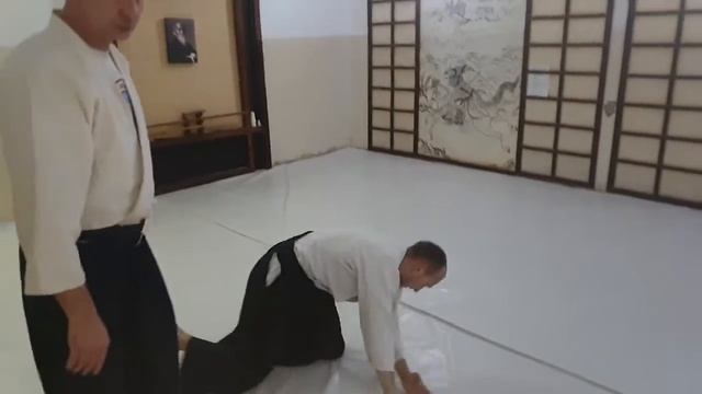 Айкидо смотреть онлайн