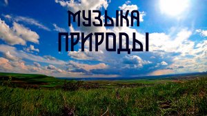 Звуки природы / Сверчки и луговые птицы / Присядь на лугу
