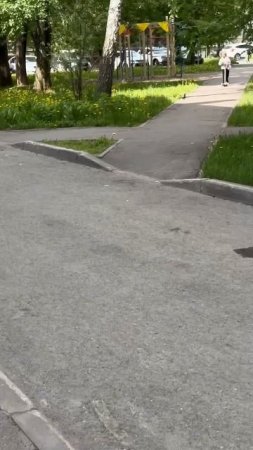 Пошли в магазин