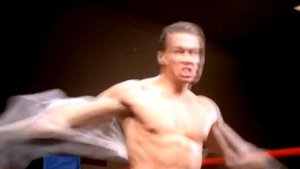 Тигр Карате