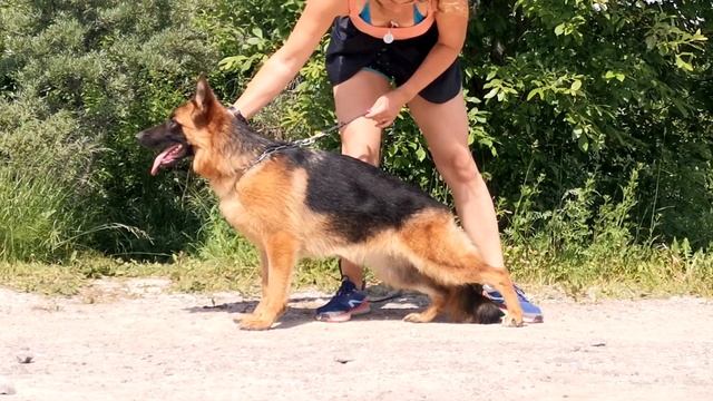 Хлоя стойк смотреть онлайн