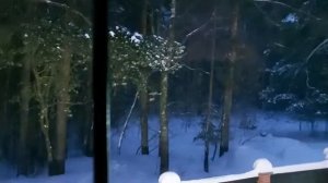 ЦАРИЦА КОБРА... ЯЗЫК ТЕМНЫХ ДУХОВ... ОТ ВРАГОВ... для смелых