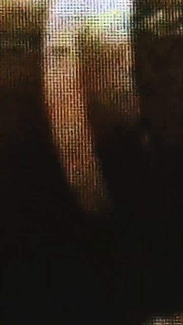 ДРЕЛЬ МЕН ТИТАН 1.0 И ДРЕЛЬ МЕН ТИТАН 2.0 (СТЕПАН СПИКЕР Т? смотреть онлайн