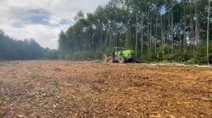 Работа мульчера Merlo Tre EMME MM350B