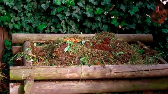 Компост или перегной что лучше  Покажу как сделать компост и как сделать перегной