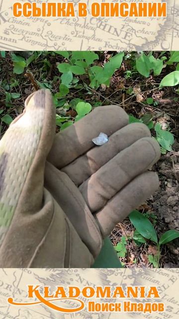 MINELAB MANTICORE что за зверь. Первый выход с новым металлоис?