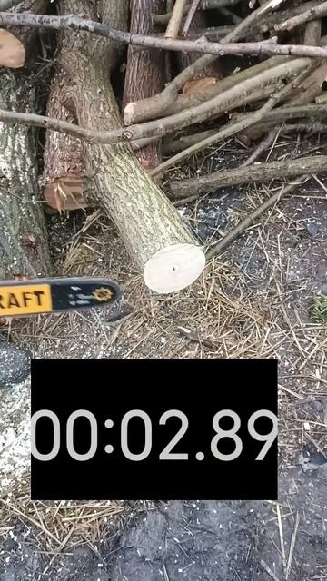 #бензопила #stihl#stihl180#procraft#електропила#тест-драйв#тест#п смотреть онлайн