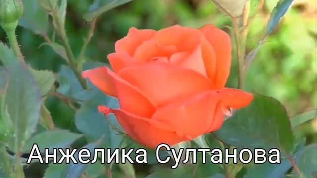 Я Б Такого Полюбила смотреть онлайн