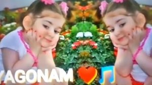 Духтарам точи  сарам