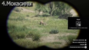 Гайд Как собрать костюм "Пастух" в RDR2  #RDR2 #Пастух #VimeRGame