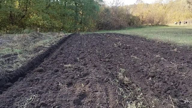 Оранка Шифенг 240 і Віракс 2,25+предплужники+борона смотреть онлайн