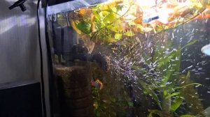 мини обзор фильтра помпы aquael circulator 500 они же turbo filter