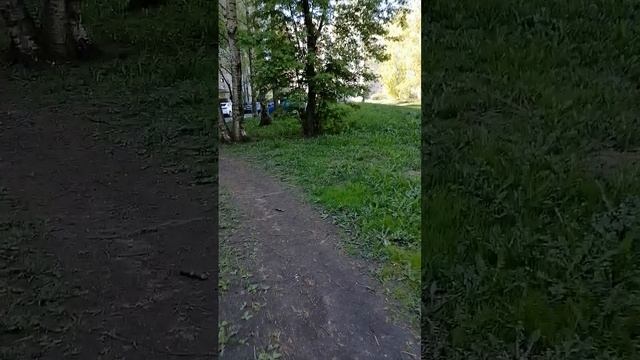 Весенняя погода пути господни неисповедимы