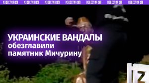 Разбил голову Мичурину — украинский подросток-вандал кувалдой разрушил памятник русскому ученому