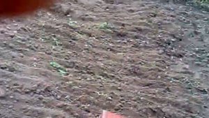 Борона с гидроприводом на Т-25
