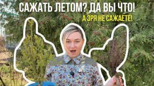 Не сажай летом? Ошибка,которая мешает тебе вырастить сад.