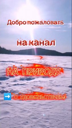 ВИЗИТНАЯ КАРТОЧКА КАНАЛА. ДОБРО ПОЖАЛОВАТЬ!