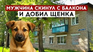 Мужчина скинул с балкона и добил щенка