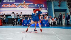Первенство России по самбо 2025