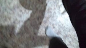 Как легко научится держать мяч на ноге?