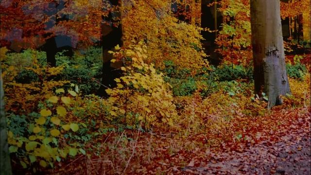 Жизненные истории "Письмо в старой куртке!" Слушать ис? смотреть онлайн