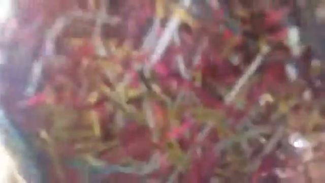 Что находятся в ящике для слаймов ? смотреть онлайн